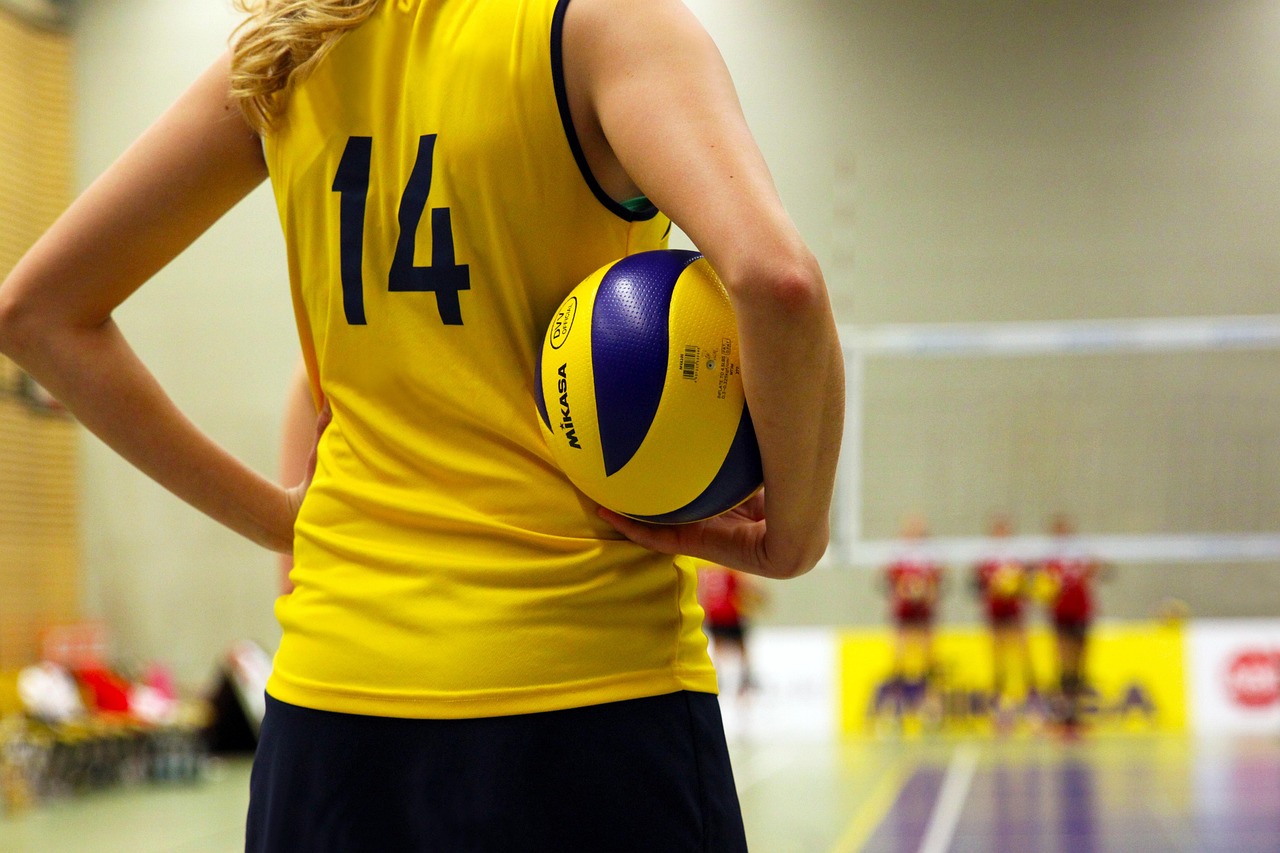 Netball court